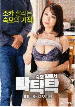 面包和汤和猫咪好天气